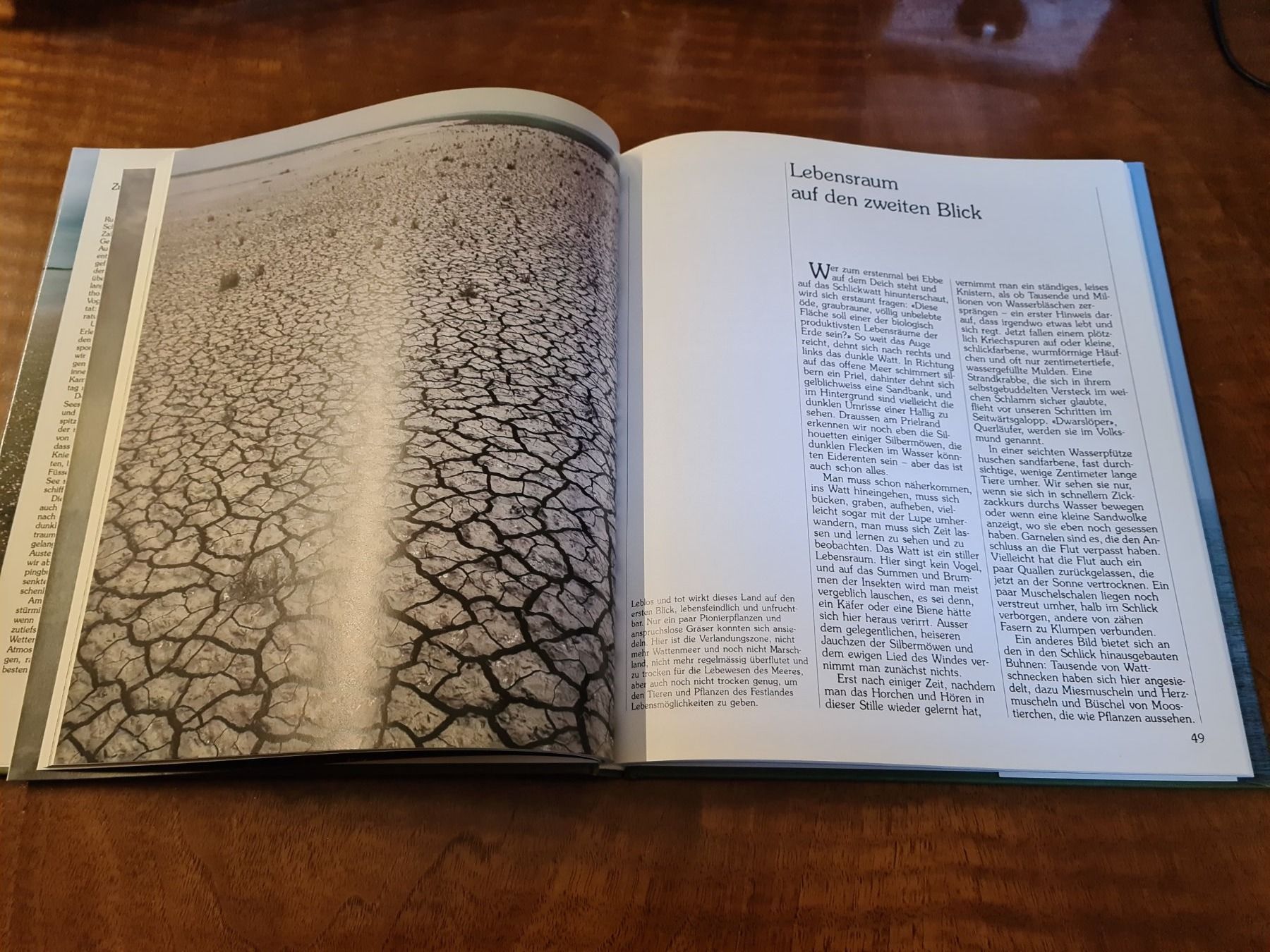 Libri: Nordseeküste und Wattenmeer – Usato da Erstfeld venduto da Mario_boe0 1