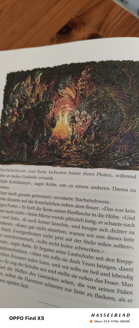 Libri: Fungel – Usato da Volken venduto da katz5 2