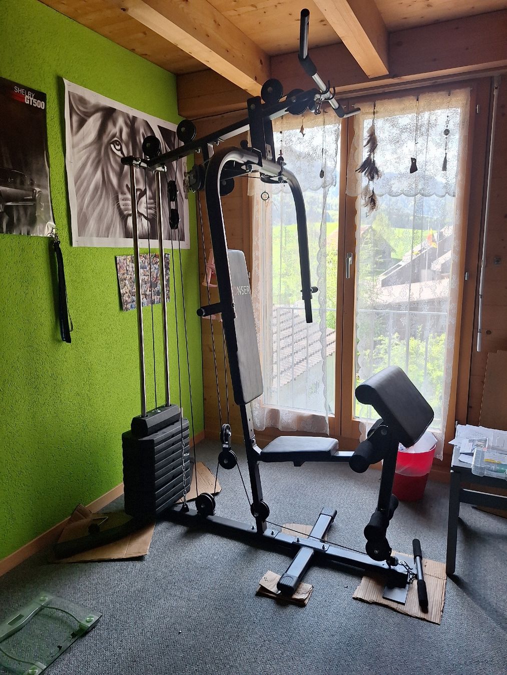 Gonser Vélos d'appartement: Kraftstation / Home GYM – D'occasion à Oberstocken par jul_6rwj 7