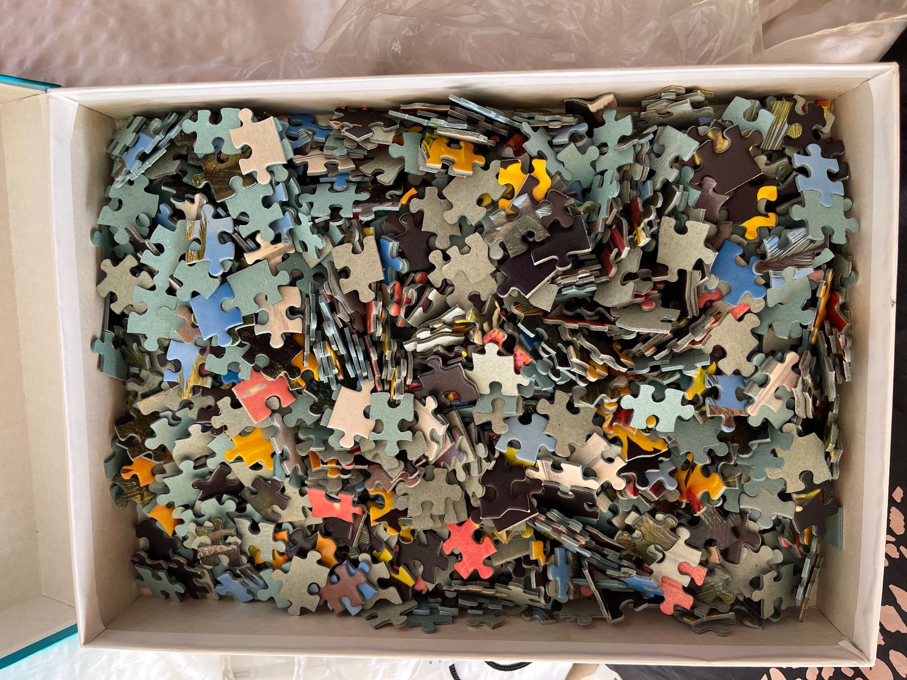 Puzzle: Puzzle Palmenstrand – Usato da Eschenbach SG venduto da Joey-Li 1