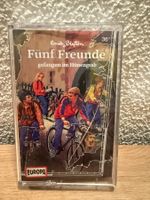 Fünf Freunde / gefangen im Hünengrab