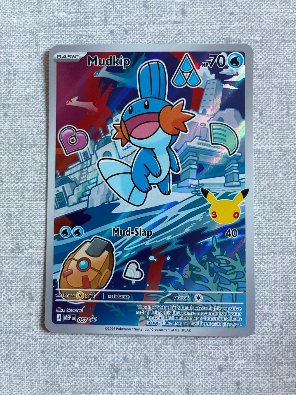 Pokémon Carte collezionabili: First Partner Treecko Torchik Mudkip (Boosterfrisch) English – Nuovo (secondo la descrizione) da Bern venduto da remooda 5