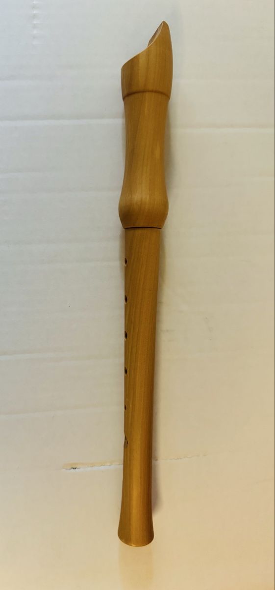 Strumenti musicali: Recorder by Sheffield - Great Instrument for Beginners! – Usato da Olten venduto da Asaliya