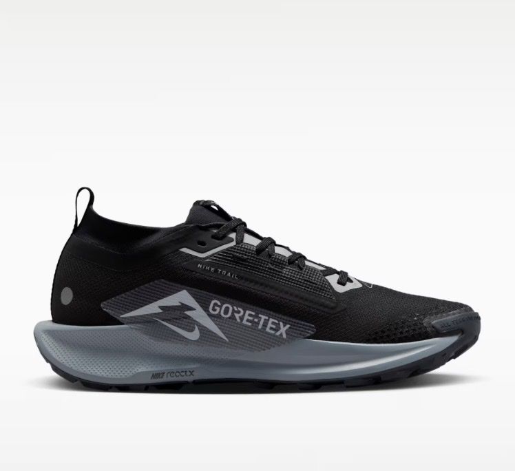 Nike Scarpe da donna: Nike trail pegasus 5 gtx – Nuovo (secondo la descrizione) da Martigny-Croix venduto da Jocelyne81 1
