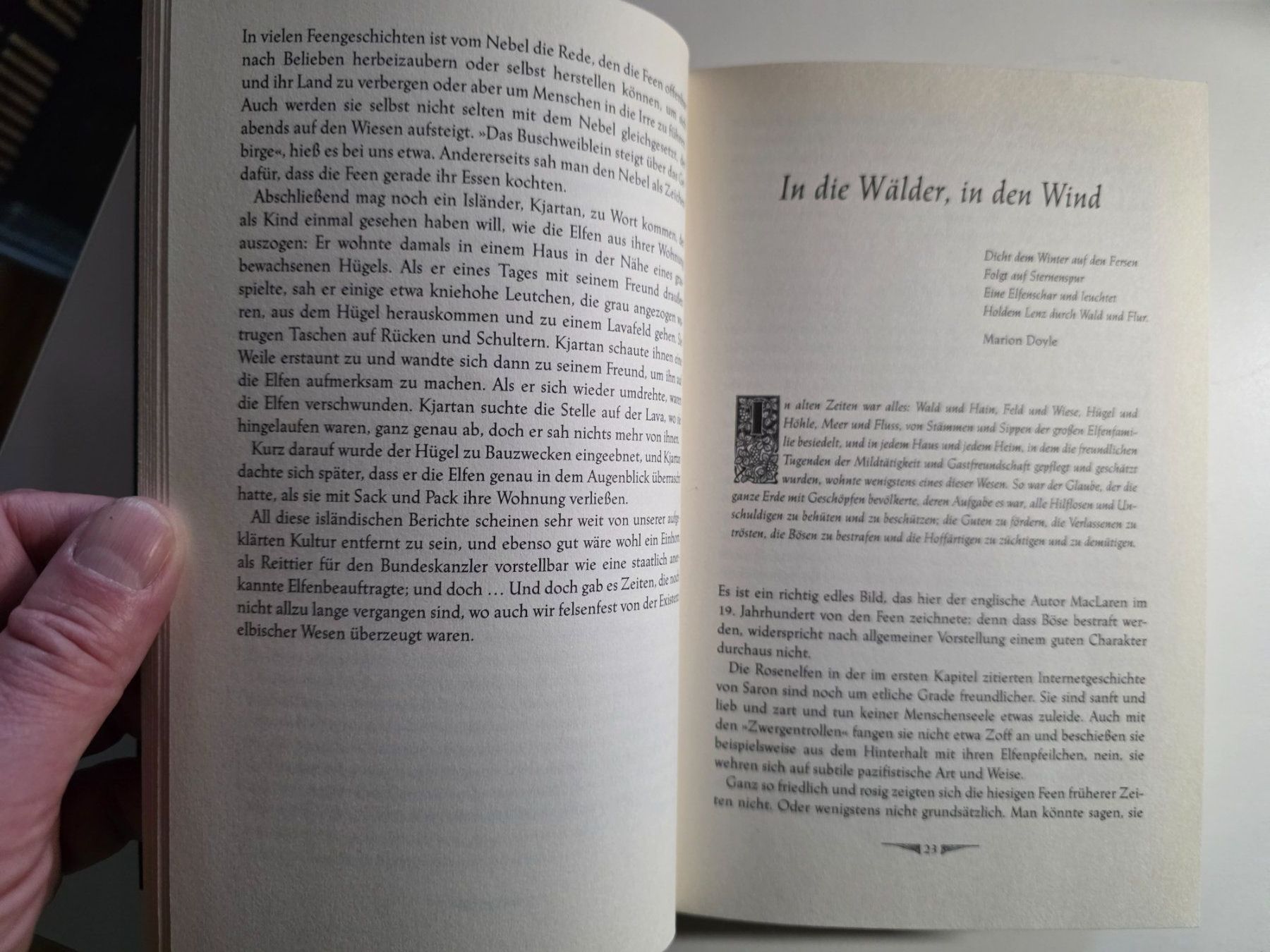 Libri: Das Buch der Elfen und Feen - Ditte Giovanni Bandini - 2004 – Usato da Walterswil BE venduto da Lonitti 4