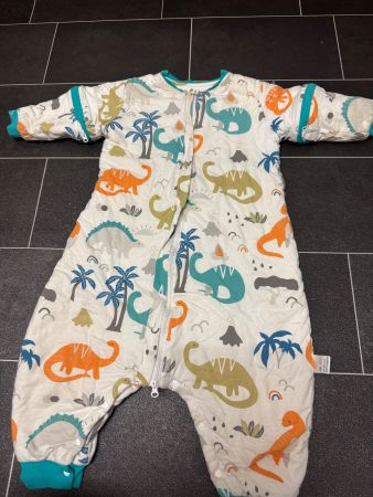 Winter Dino-Schlafanzug mit Füssen Gr 68-72