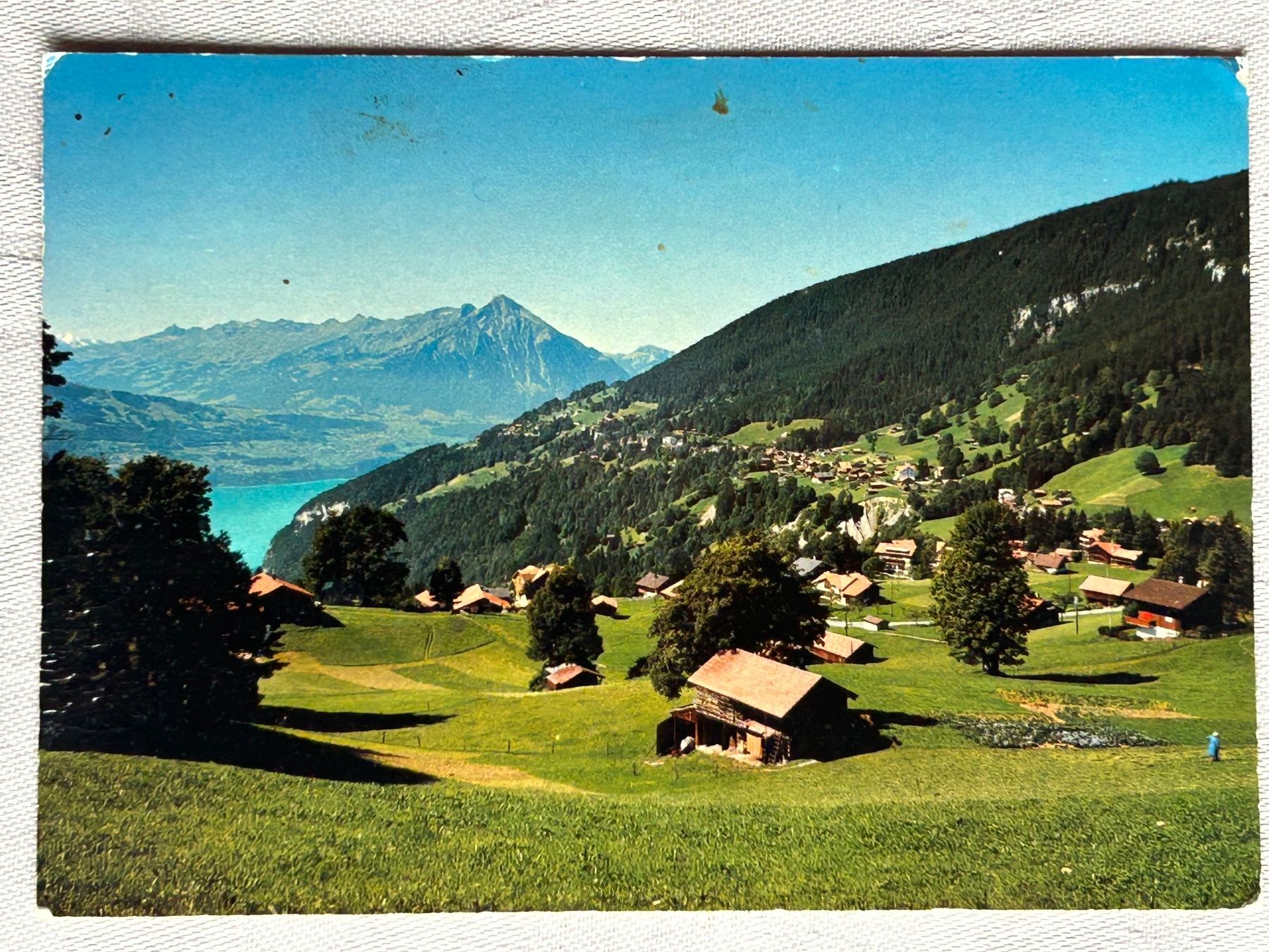 Cartoline postali: BE Beatenberg Waldegg mit Widhorn und Niesen – Usato da Gächliwil venduto da H-PL
