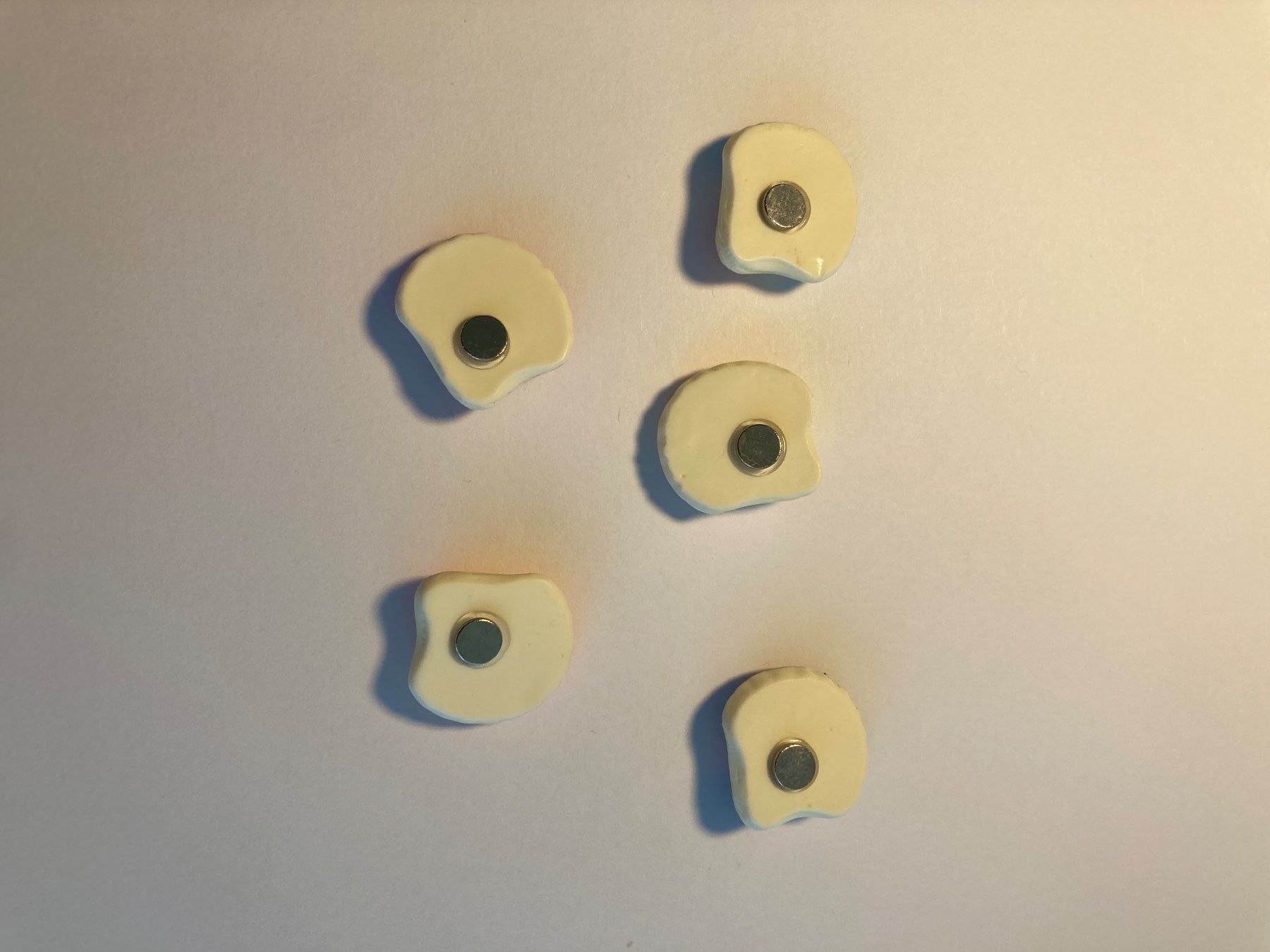 Calamite: Magnet-Set Muscheloptik 5 Stück – Usato da Bern venduto da yla_88nl 1