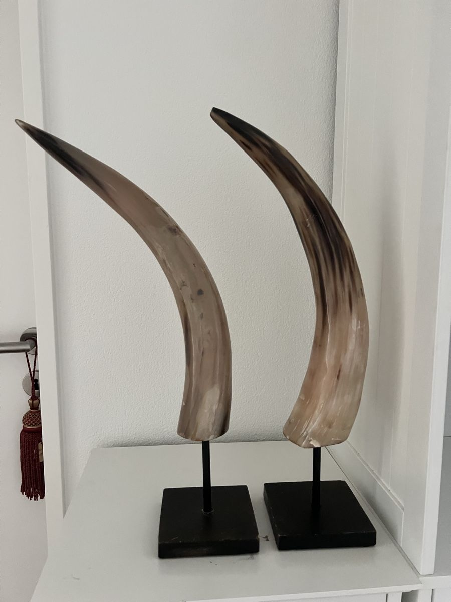 Maisons du monde Tutte le decorazioni: Mounted Horns Sculpture on Stands - Rustic Home Decor – Usato da Altendorf venduto da EncoreStyle 2