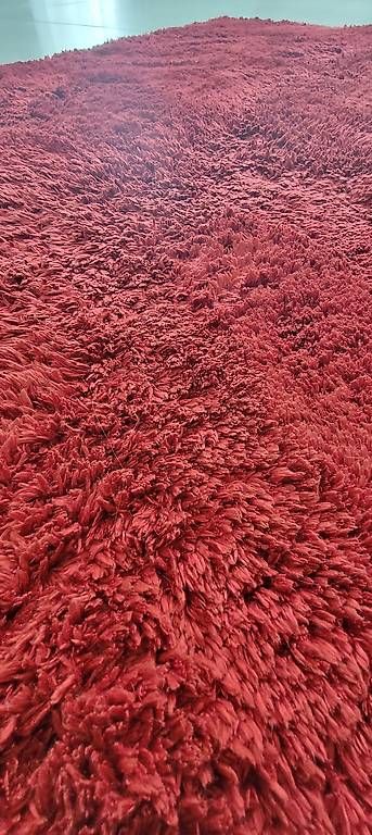 Tappeti: Roter Teppich Marke MOOD – Usato da Remetschwil venduto da Smitt