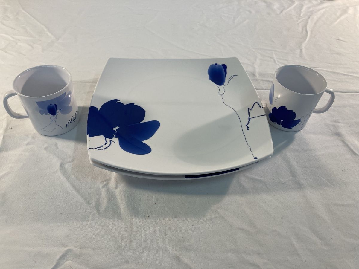 Set di piatti: Teller/Tassen Set Melamine für Camping – Usato da Aarwangen venduto da to-hirschi