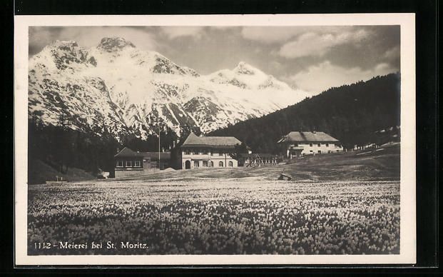 Cartoline postali: St. Moritz, Blick über Wiesen auf eine  – Usato da Berlin venduto da bartko-reher