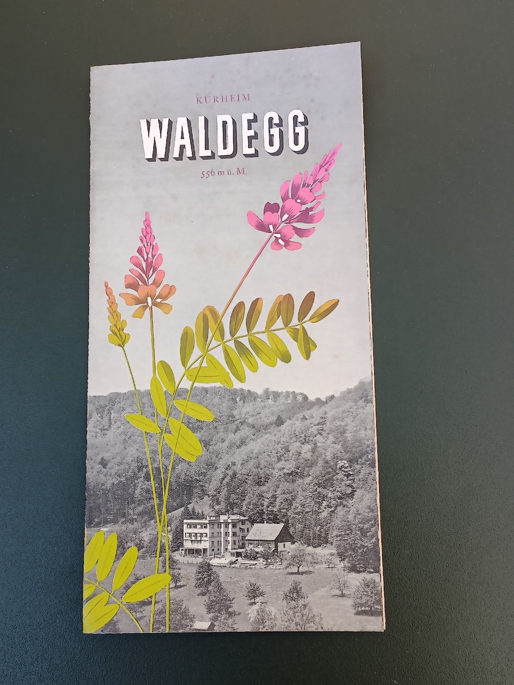 Documenti: Prospekt / Kurheim Waldegg ob Rickenbach ca. 1930 – Usato da Brugg AG venduto da Ente015