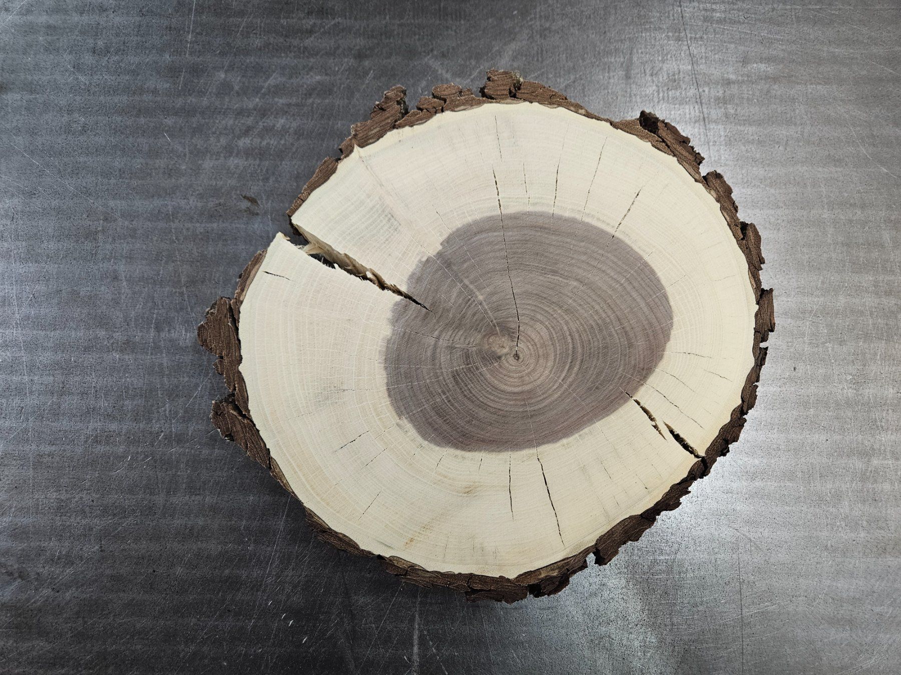Articoli in legno: Nussbaum Holz Baumscheibe – Nuovo (secondo la descrizione) da Schangnau venduto da egli6.2 2