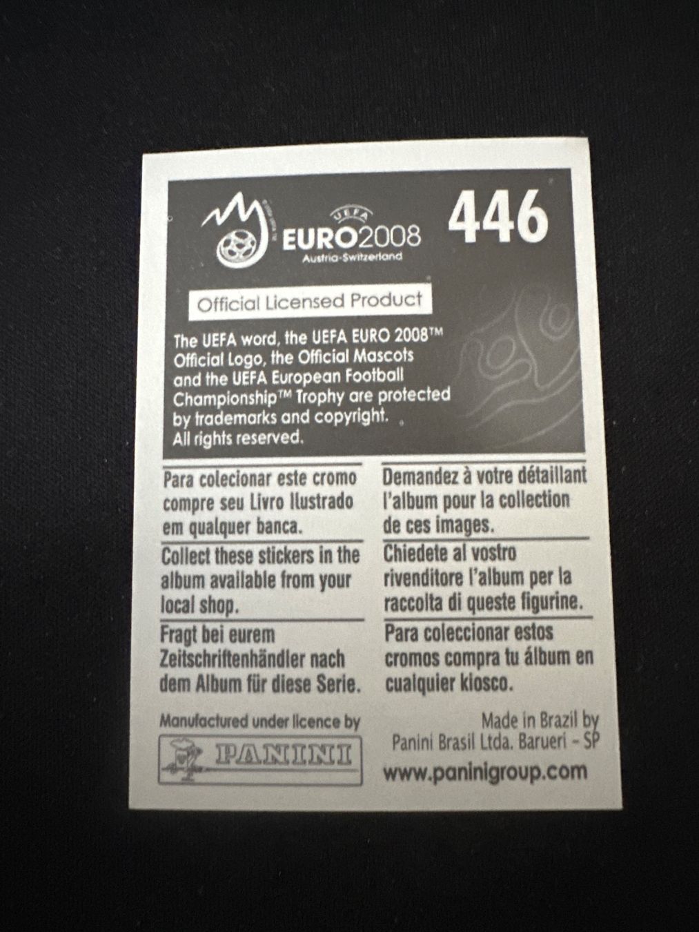 Panini Carte collezionabili: Panini UEFA EM 2008 Sticker - Nr. 446 – Usato da Sulz AG venduto da DealWerk 1