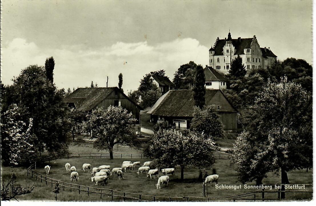 Cartoline postali: Schlossgut Sonnenberg bei Stettfurt – Usato da Hochdorf venduto da Ziegel-16