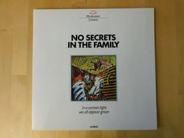 No Secrets In The Family – In A Certain Light We All Appear