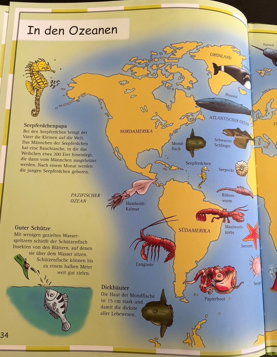 Libri: Kinderatlas ,,Tiere“ – Usato da Adliswil venduto da Myxin 8