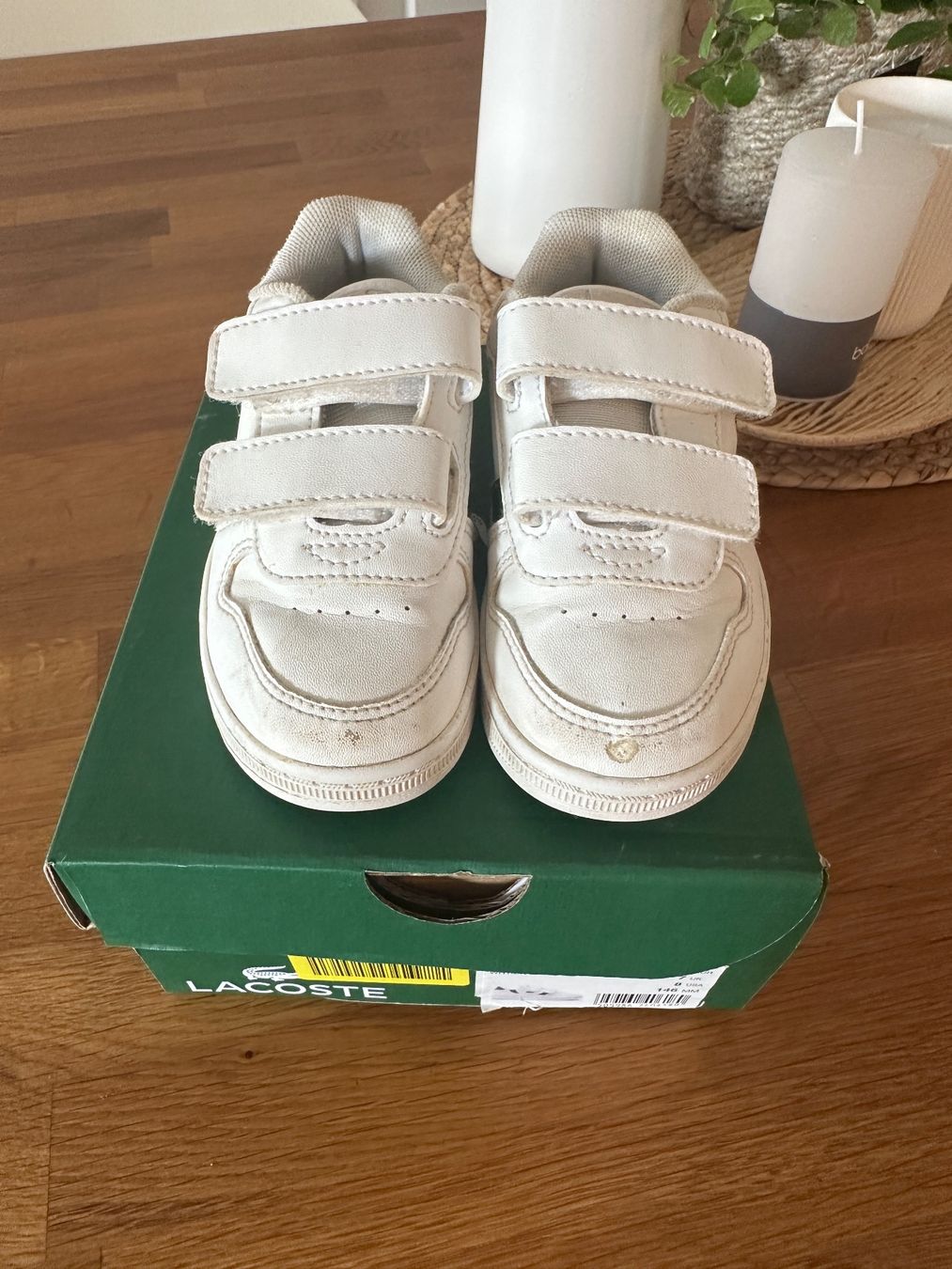 Lacoste Scarpe per ragazzi: Sneakers Lacoste Gr.24💚 – Usato da Zürich venduto da JuliaSp 1