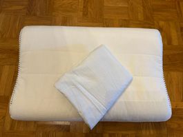 IKEA RÖLLEKA Kissen 33x50 cm