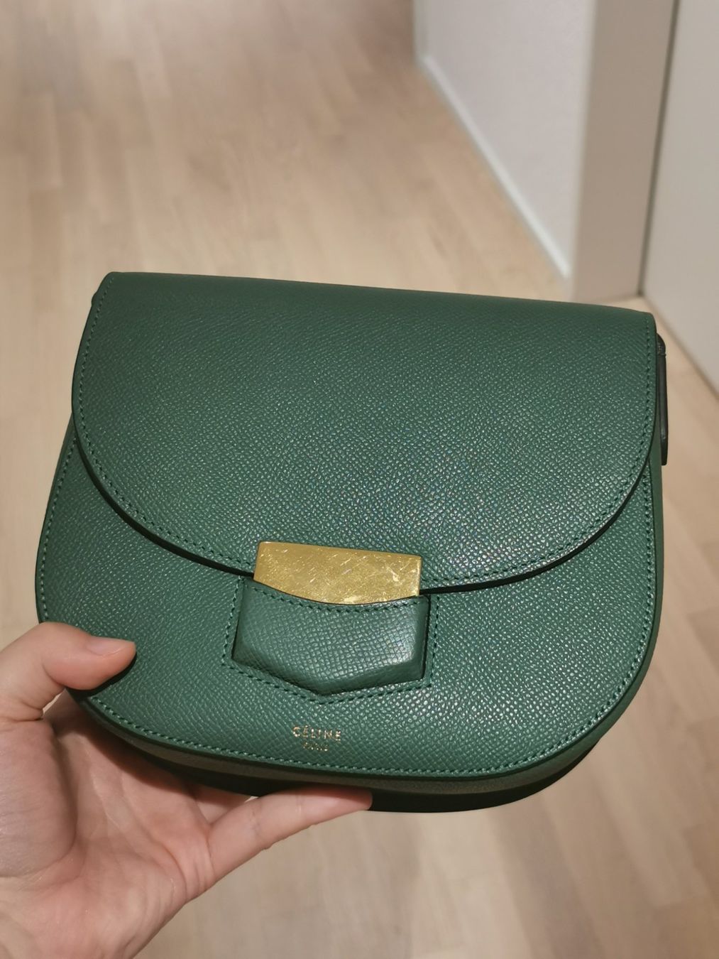 Celine Borse da donna: Céline Small Trotteur Bag in Green – Usato da Spreitenbach venduto da Catticoooorn