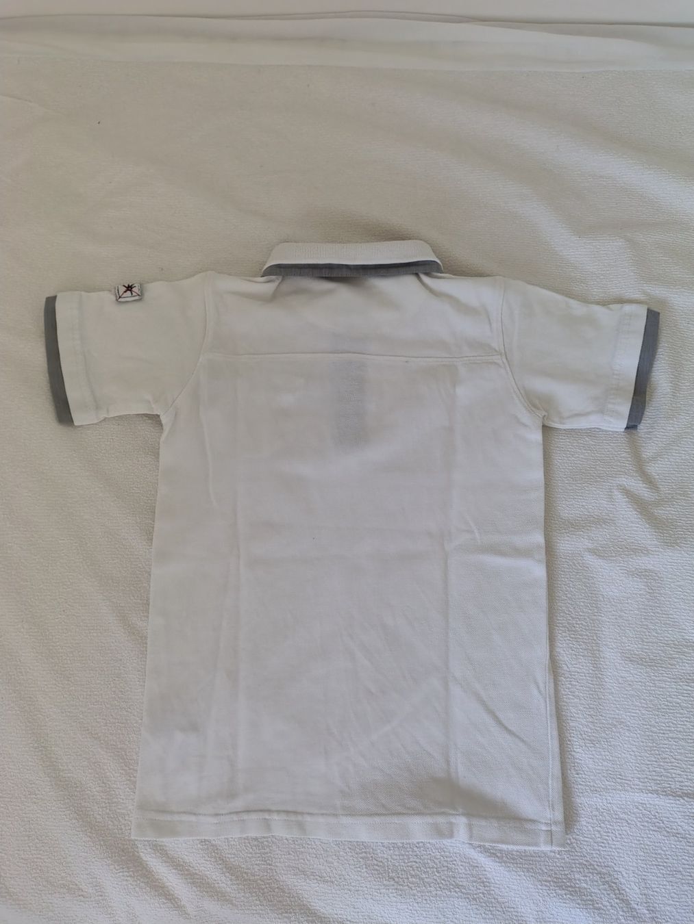 Camicie, T-shirt & Polo: Poloshirt Adolfo Dominguez 8 Jahre – Usato da Schliern b. Köniz venduto da Green3yed 2