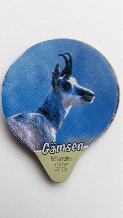 Serie 7.264 (03/01) Gämsen Gastro 1