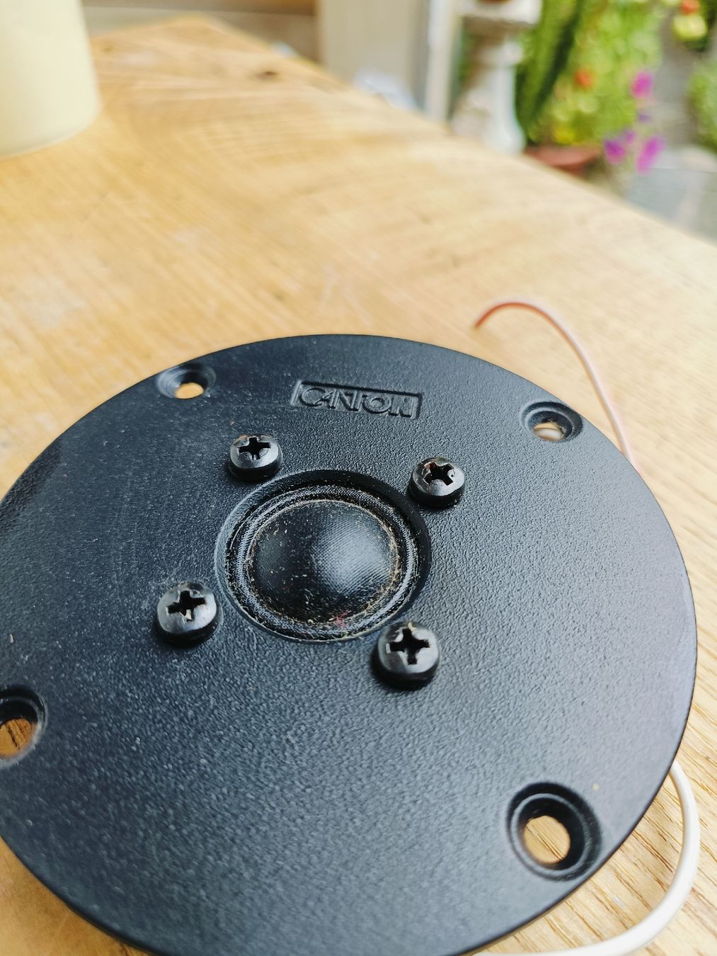 Canton Casse acustiche: Canton Hochtöner Tweeter – Usato da Steffisburg venduto da zulg03 1