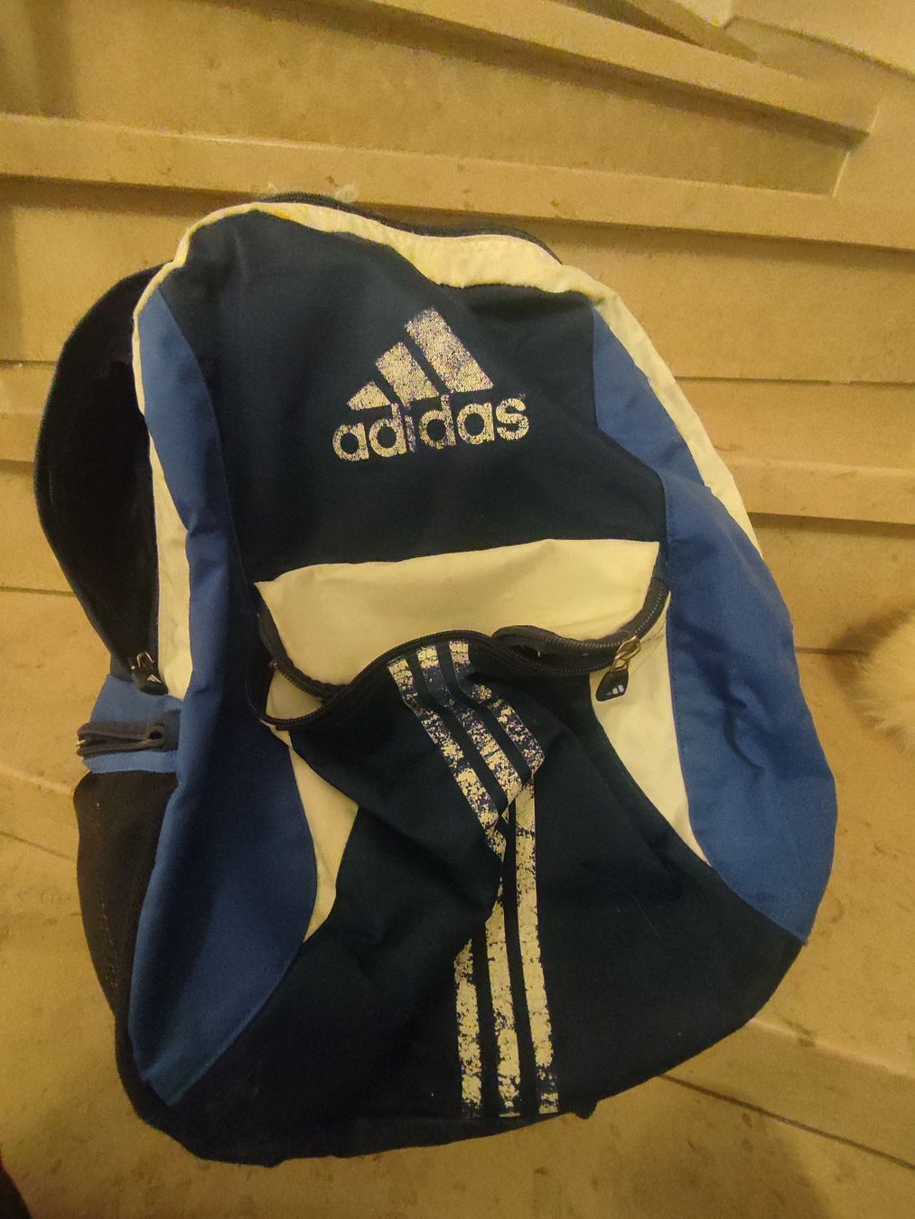 Adidas Zaini: Adidas Rucksack – Usato da Solothurn venduto da Csw1