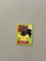 Panini WM 2026 Nkosinathi Sibisi (RSA 10)