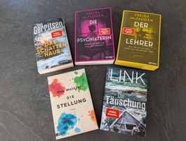 5 Bücher Thriller und Romane | Freida McFadden zB der Lehrer