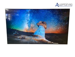 LG OLED TV OLED55A19LA