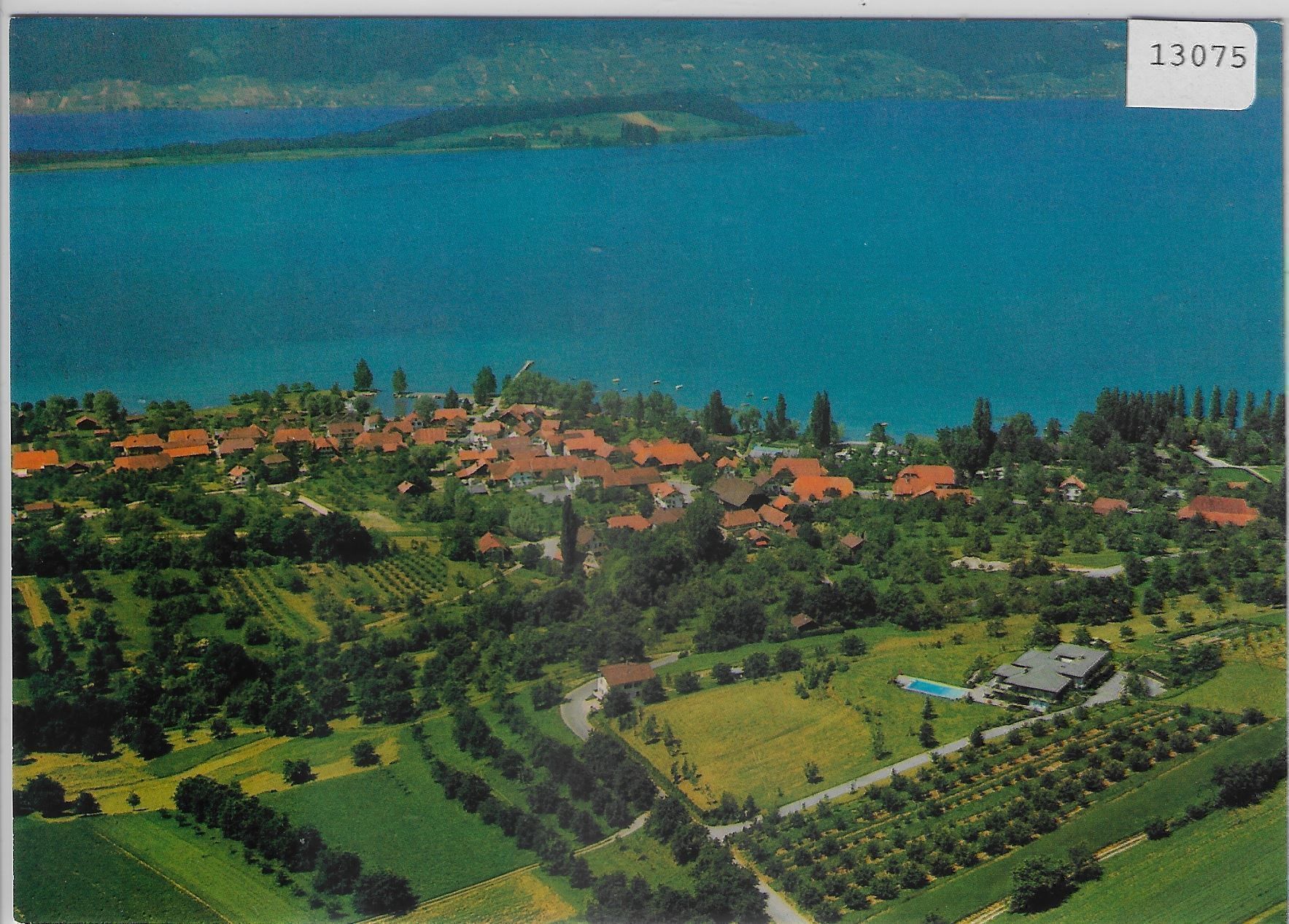 Cartoline postali: Flugaufnahme Lüscherz BE – Antico da Ettingen venduto da Kartenplanet