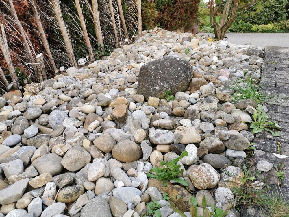 Flusssteine Kaufen auf Ricardo