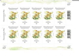Eierschwammerl Pilze 1 KB **