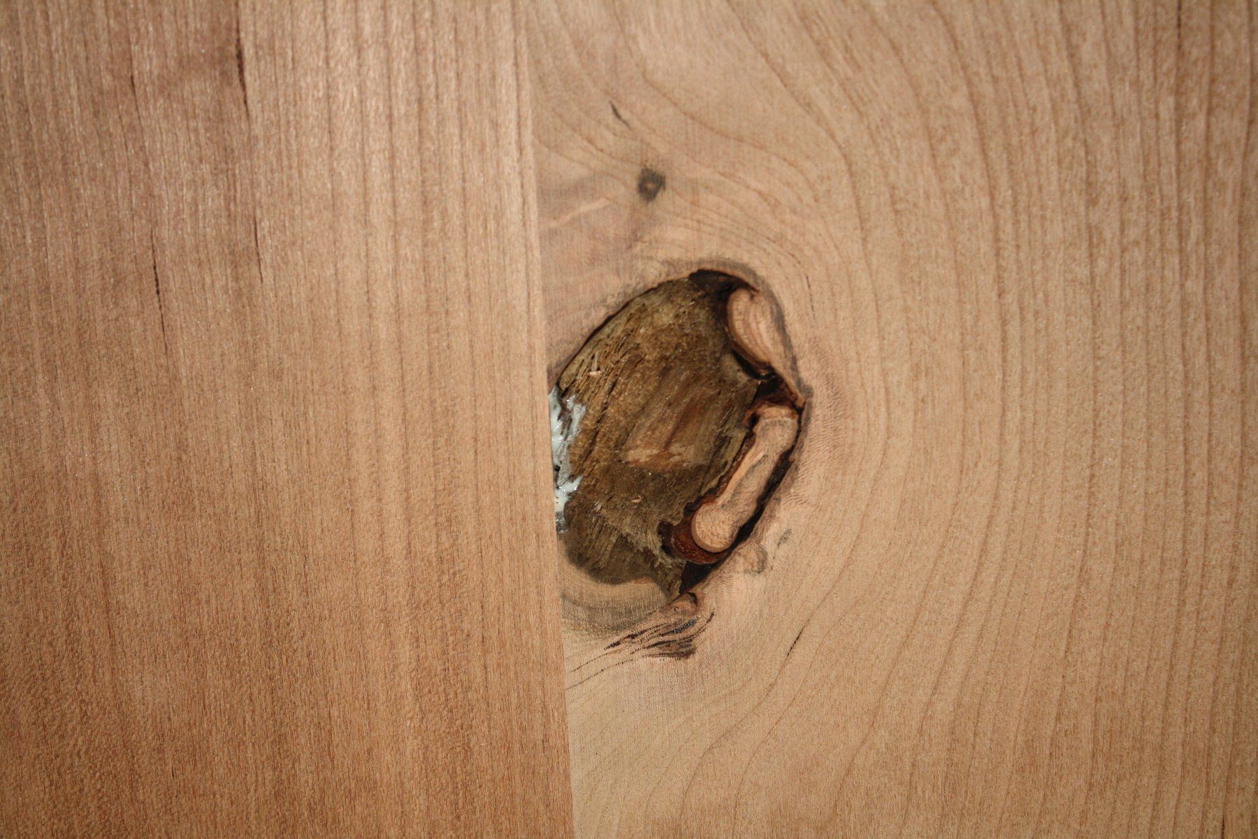 Articoli in legno: amerikanisches Kirschbaum Brett – Nuovo (secondo la descrizione) da Buchrain venduto da Donatello4 4