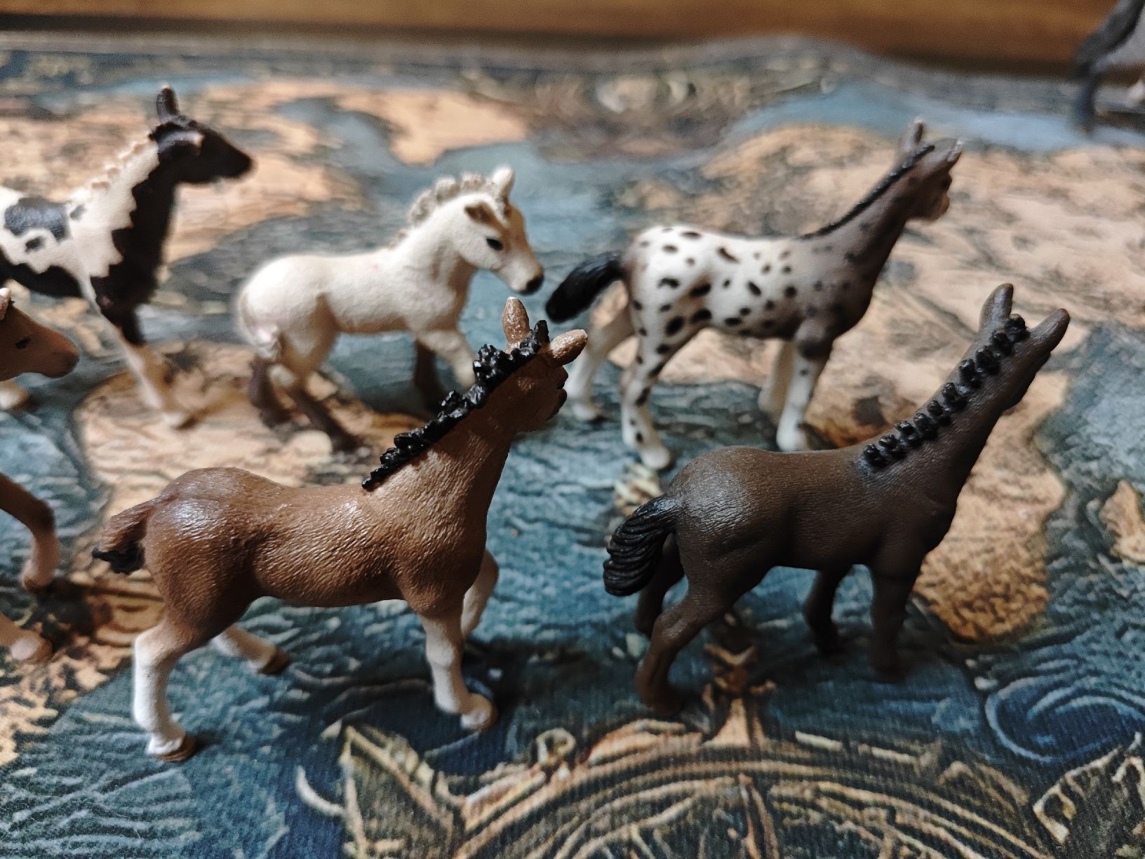 Schleich Figuren: 7 Schleich, 1 Bully Pferdefohlen – Gebraucht aus Wittenbach von stefange 3