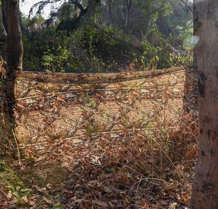 Altro per Esercito: Wald Camo Tarnnetz Grösse 1.5m x 6m – Nuovo e nell'imballaggio originale da Châtelaine venduto da topshop.switzerland 6