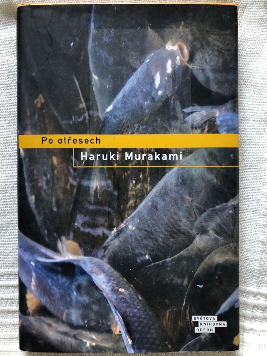 Livres: Haruki Murakami auf Tschechisch – D'occasion à Dornach par tom_xy85