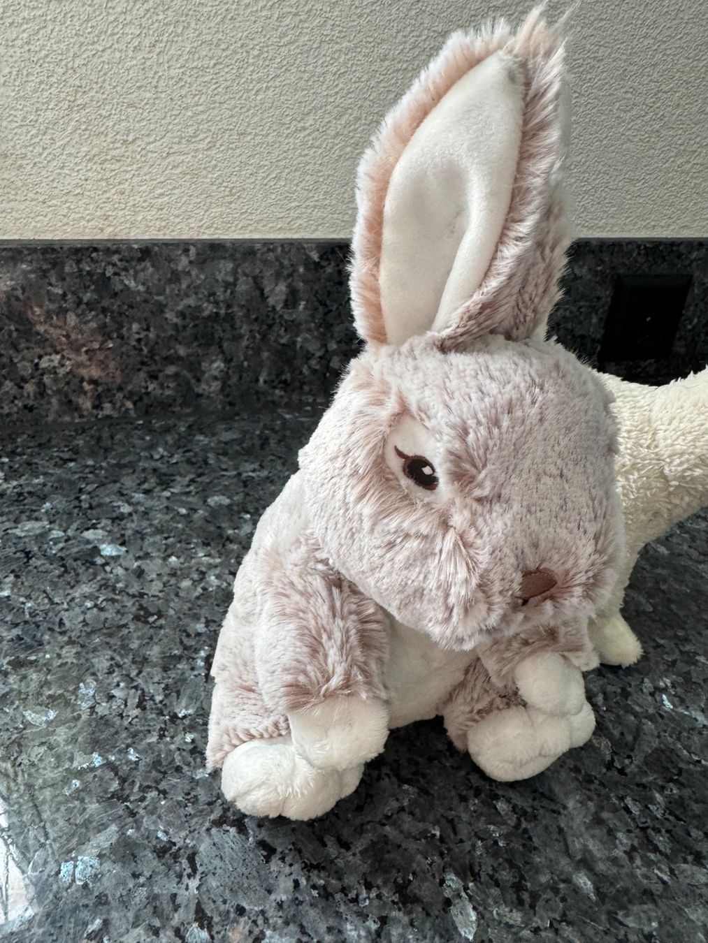 Giocattoli: 2 Plüschtiere Hase und alpaca neu – Nuovo (secondo la descrizione) da Bronschhofen venduto da pgds 1