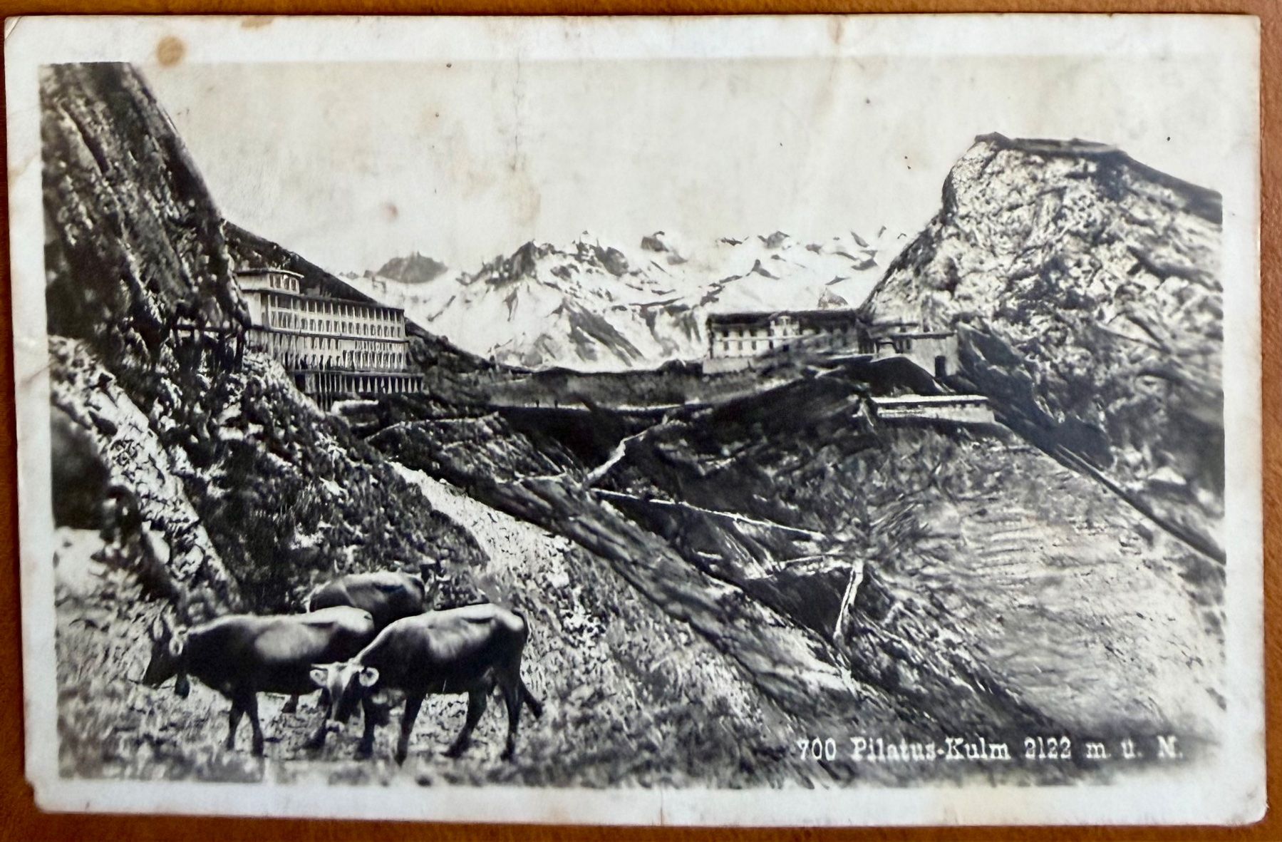 Cartoline postali: Pilatus - Kulm - Kühe 1929 – Usato da Lutry venduto da Ediego