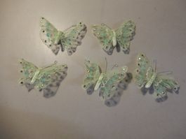 Dekoration Schmetterlinge pastellgrün 5er Set Neu