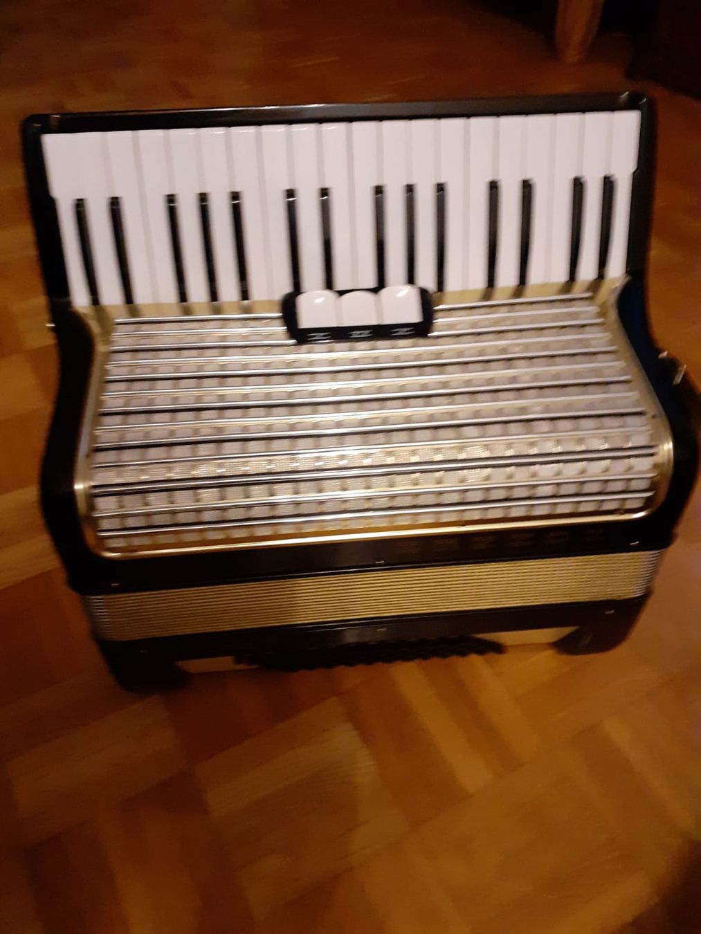 Instruments de musique: Handorgel – D'occasion à Hochdorf par eri_m96l