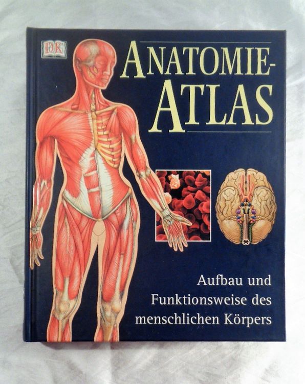 Anatomie Atlas Der Menschliche Körper / Buch 700 Farbtafeln (Gebraucht ...