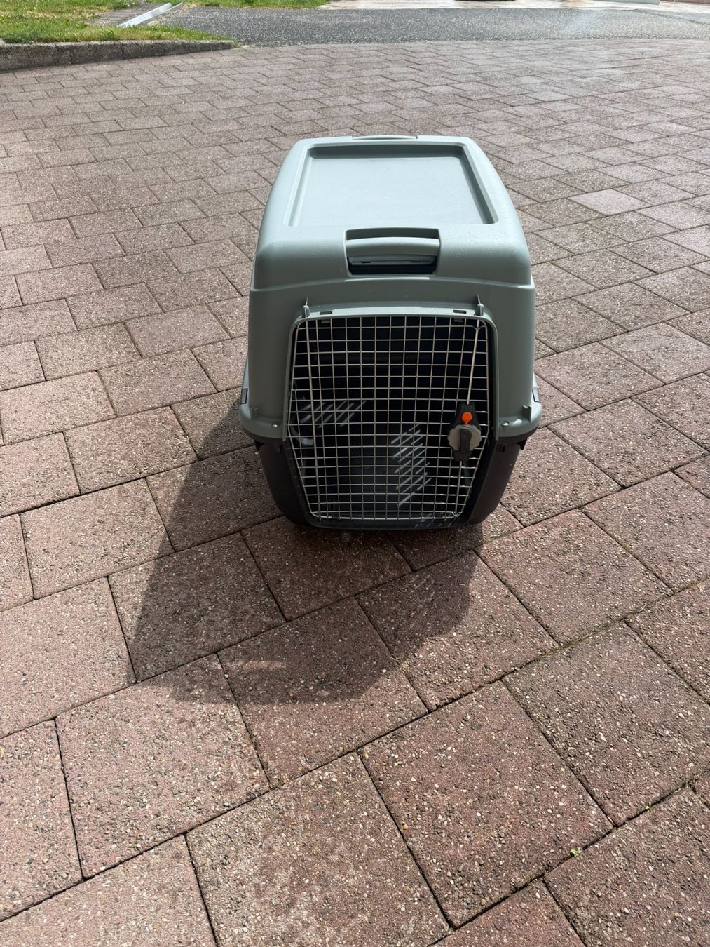 Gabbie, trasporto & Sicurezza: Transportbox – Nuovo (secondo la descrizione) da Oensingen venduto da Skorpion811