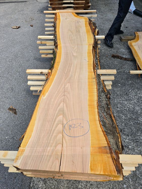 Articoli in legno: Kirschbaumbrett Nr. K23 – Nuovo (secondo la descrizione) da Lützelflüh-Goldb venduto da ch.waelchli-holz.ch 1