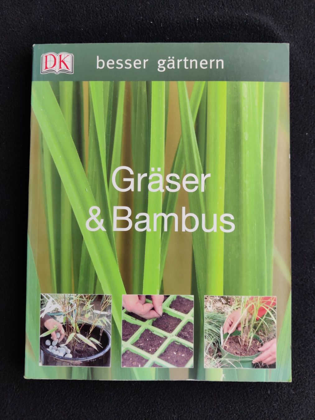 Libri: Gräser & Bambus / besser gärtner DK 2007 – Usato da Muttenz venduto da IkaSul
