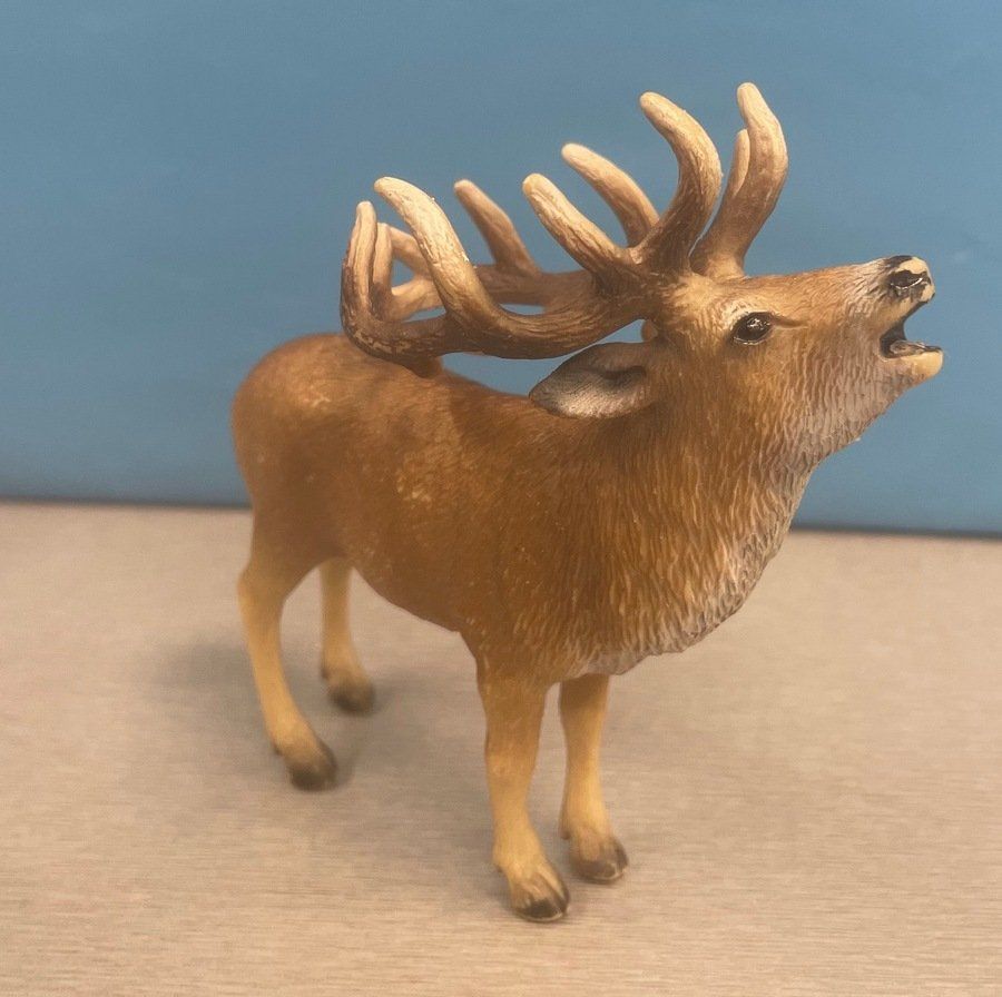 Schleich Spielzeuge: Schleich Hirsch – Gebraucht aus Sirnach von sagrotin 2