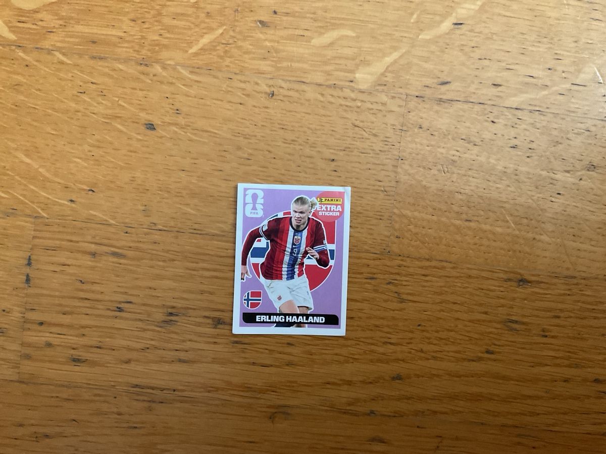 Panini Sammelbilder & Trading cards: Panini Extrasticker Haaland Lila – Neu (gemäss Beschreibung) aus Wallisellen von gartenzwerg_73