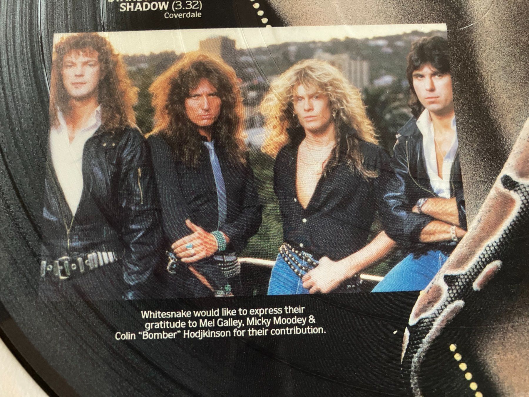 Dischi in vinile: Whitesnake – Usato da Aarwangen venduto da Jukebox3 3